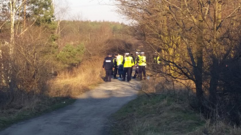 Poszukiwania zaginionej Wiktorii Cichockiej (15 l.) z Krapkowic