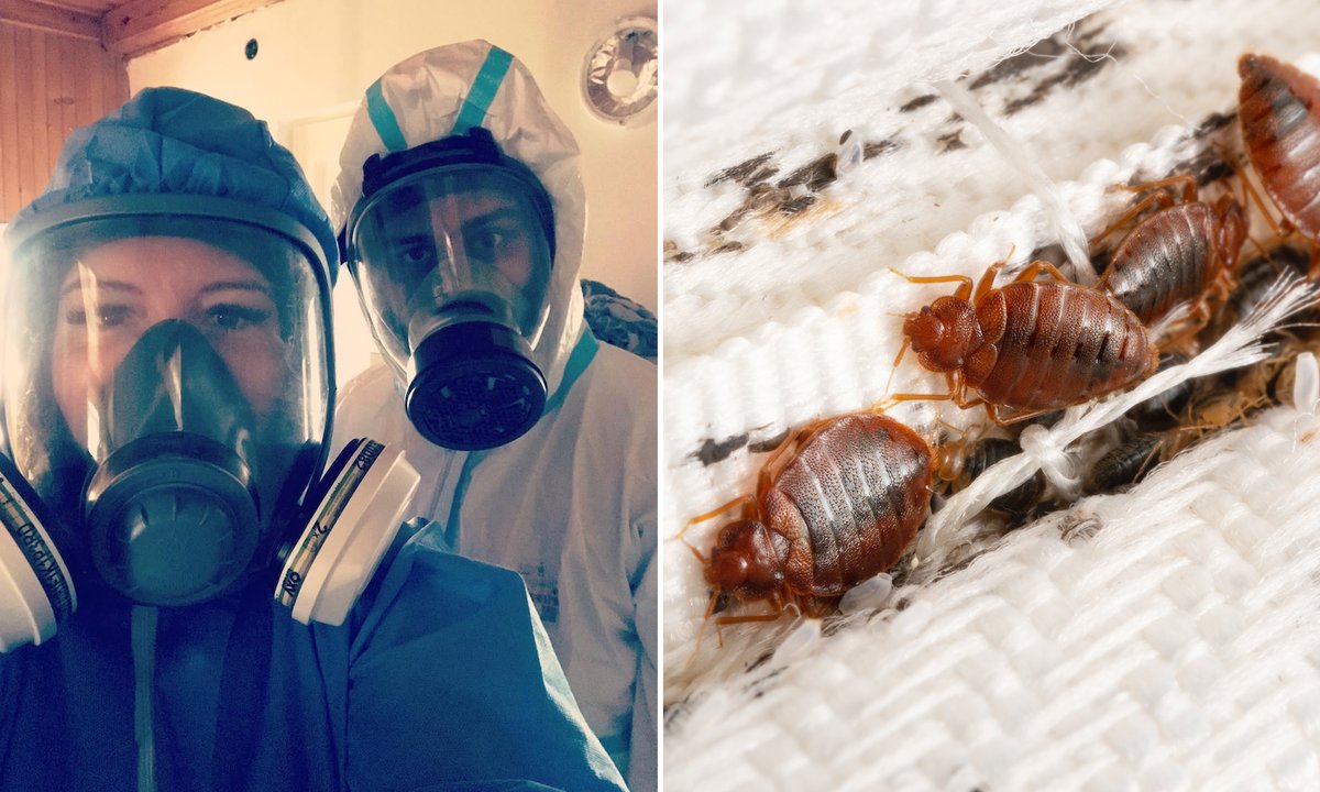 Bartek pracuje jako Dr Pluskwa. "Można zarobić, ale jest warunek"