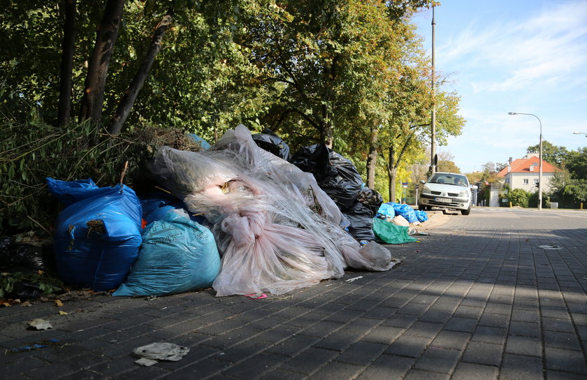 Góra śmieci na Sadybie 