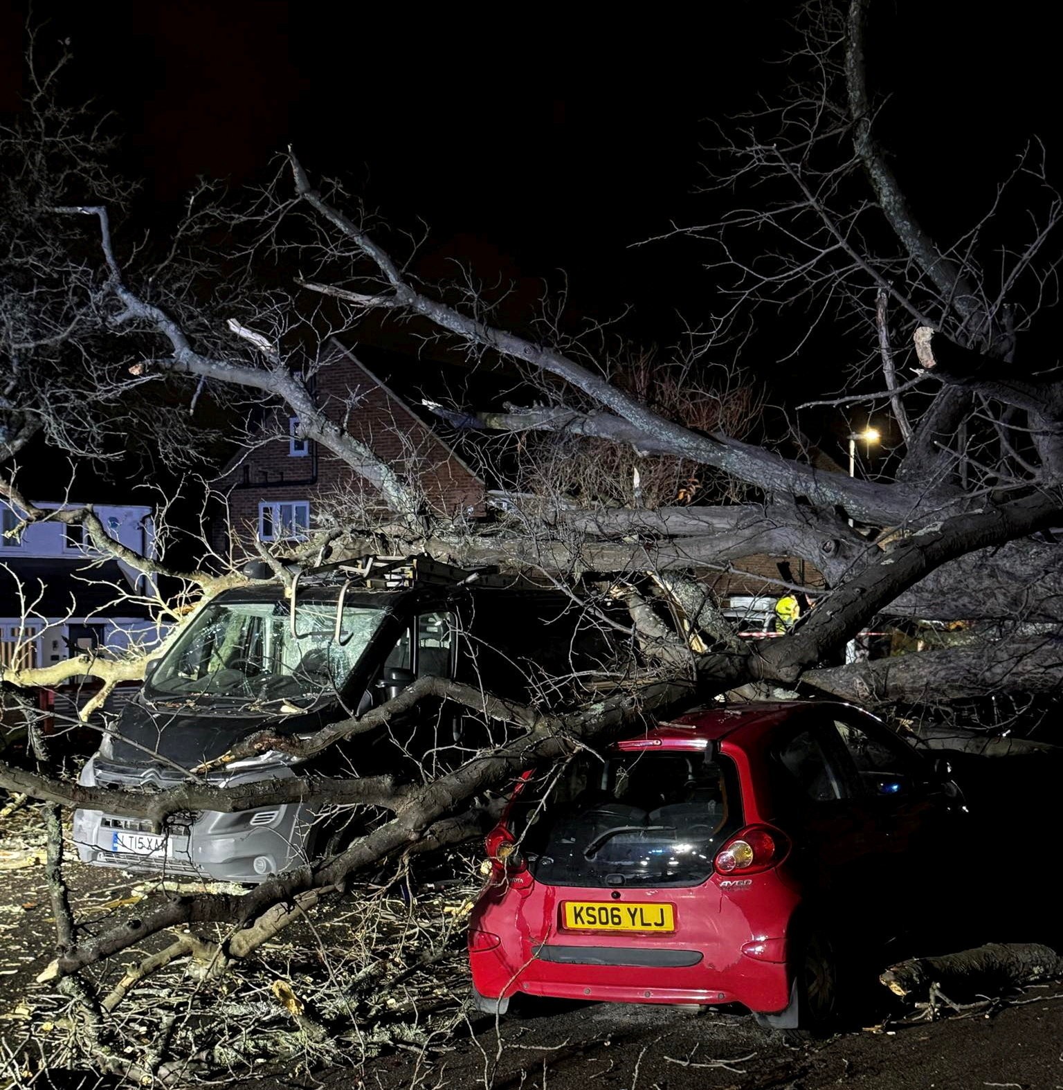 Strom mu spadol na čelné sklo priamo počas jazdy.