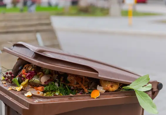 Kilka sposobów na bioodpady. Pożegnaj się z nieprzyjemnym zapachem w kuchni