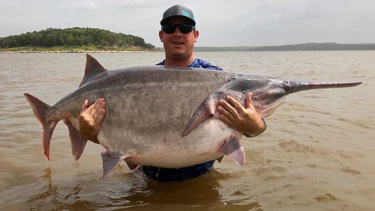 Oklahoma. Wędkarz złowił ogromną rybę i pochwalił się zdjęciem