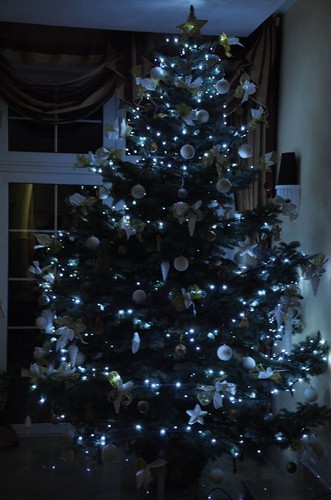 choinka Michała Wiśniewskiego