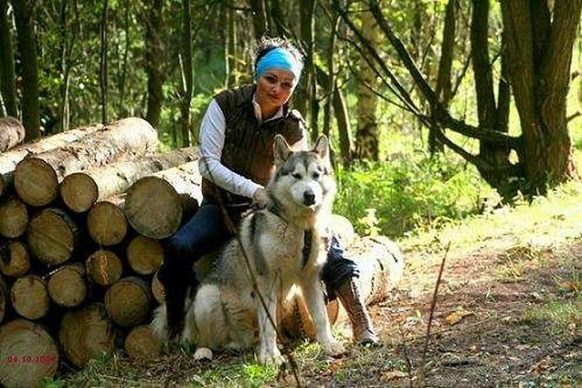 Zobacz... malamuty posłanki