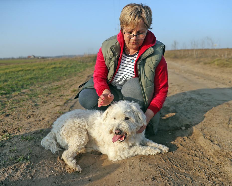 Ibolya kutyája Boni, kinti-benti kutya, nagyon félti őt a gazdája. /Fotó: Zsolnai Péter