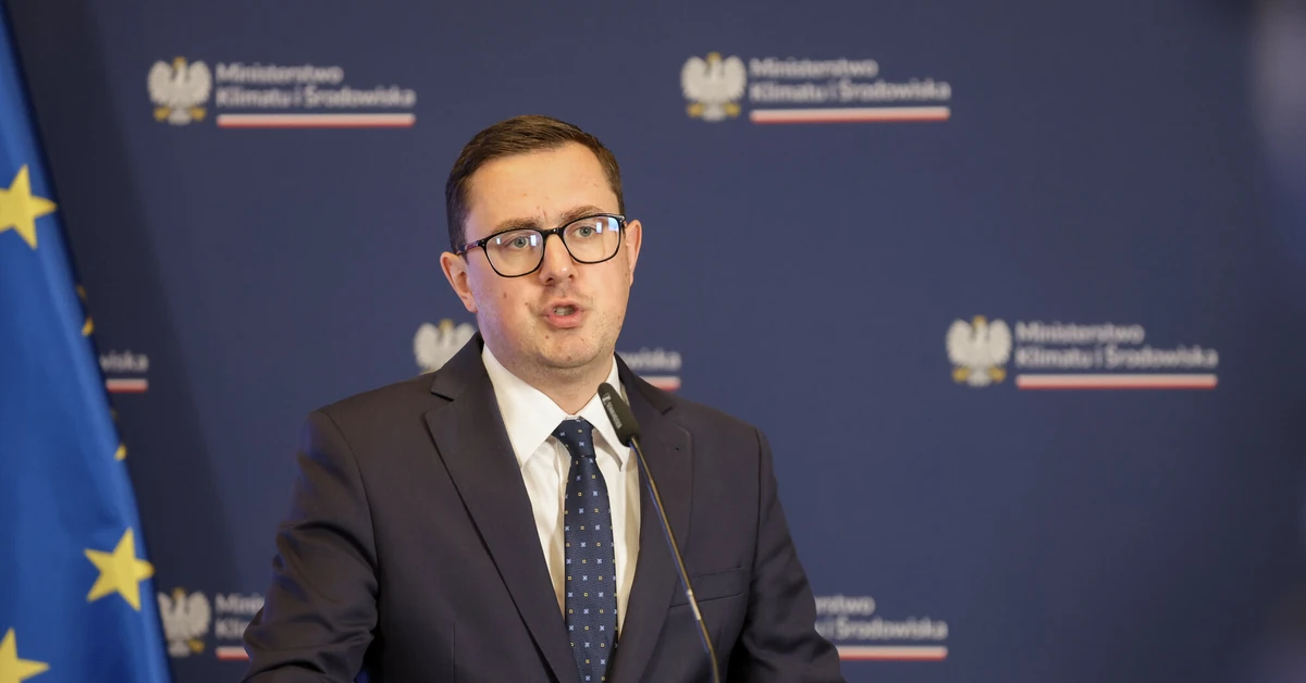 Niższe rachunki za prąd? Padła obietnica