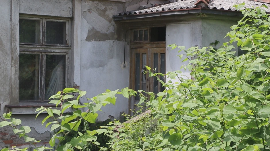 Naselje puno zmija u Čačku