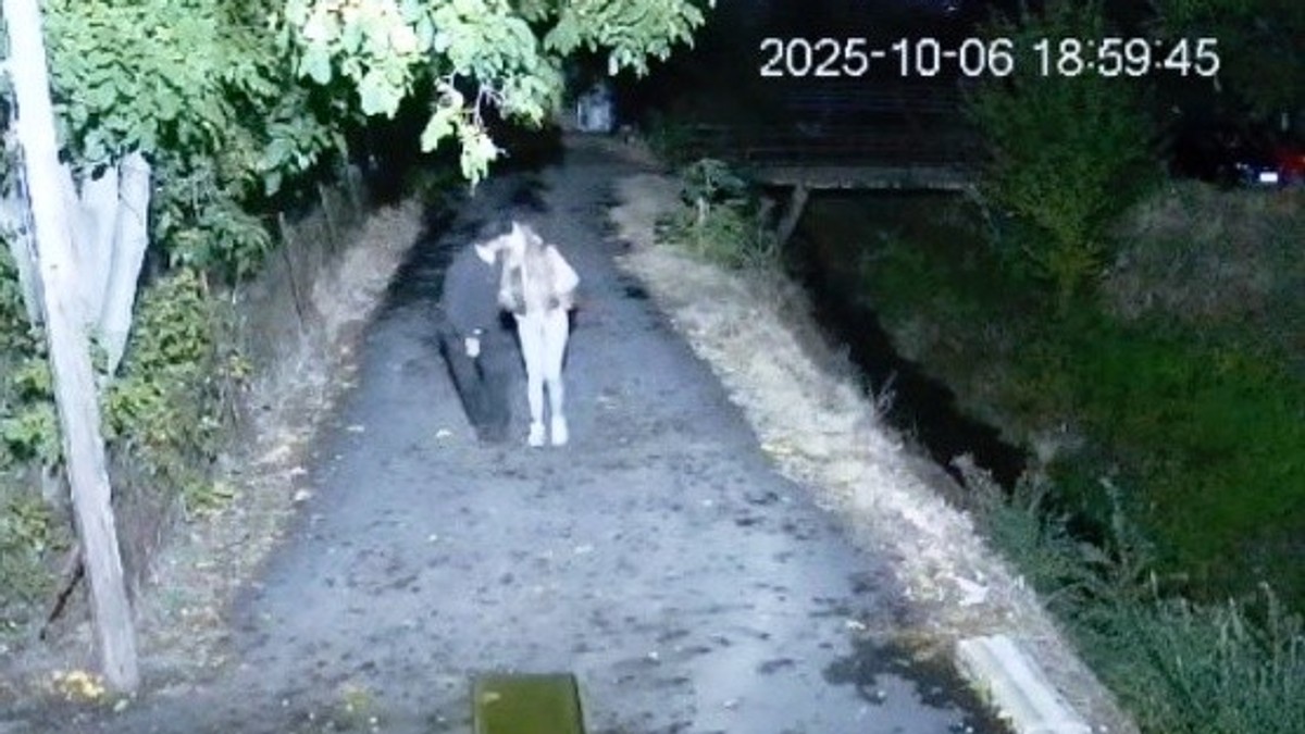 Sofija Janićijević i Dane