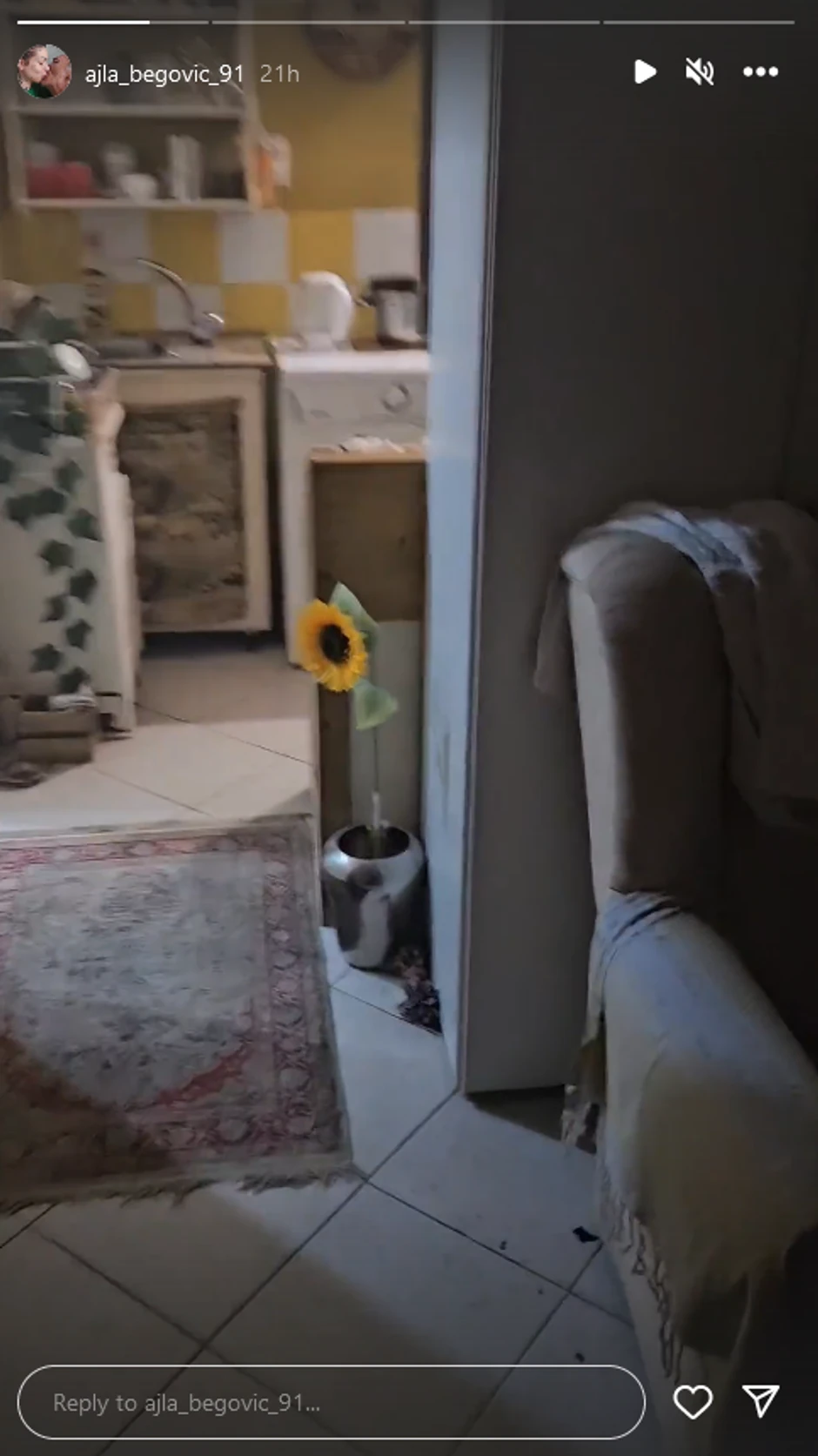 Dunja Ilić pokazala kako joj sada izgleda skromni dom