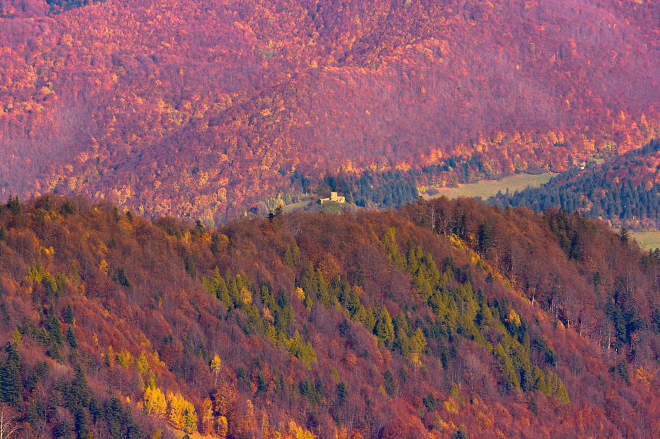 Karpackie miasteczka z klimatem, Rytro