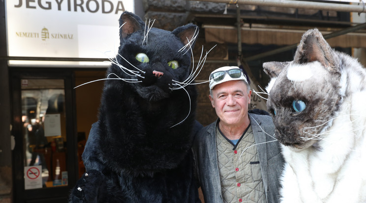 Gáspár Sándor ölbe kapta a macskákat az Andrássy úton /Fotó: Varga Imre