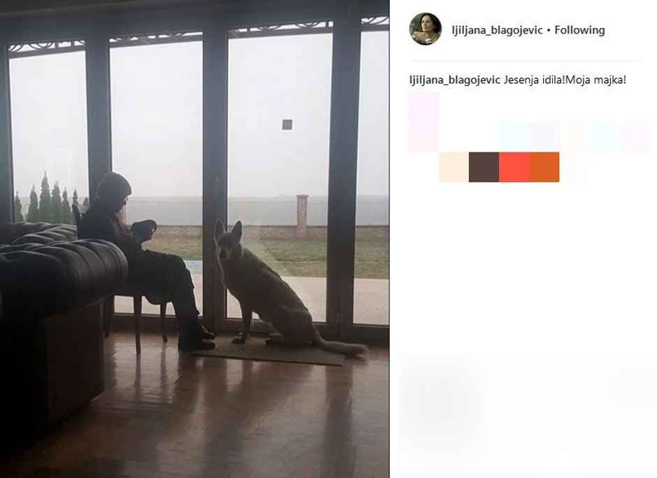 Ljiljanina slika njene majke