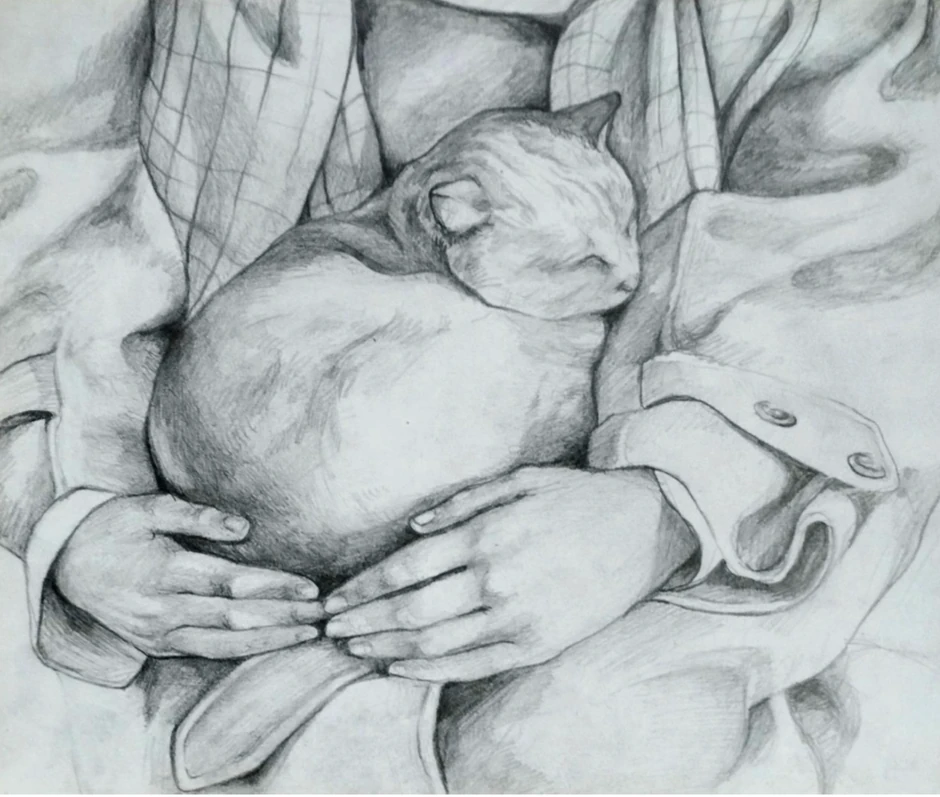 Kaja Đoković, Sofronije