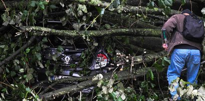 Konar spadł na dzieci na placu zabaw. Koszmarna śmierć 5-latka