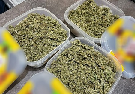 Marihuana ilustracija