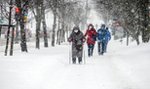 Sroga zima przed nami? Ten kwiat zdradza wszystko