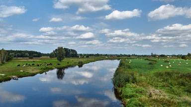 Nie taki łatwy quiz o rzekach Polski. Na którym pytaniu się wyłożysz? [QUIZ]