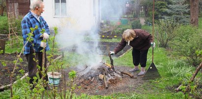 Działkowcu! Nie pal gałęzi, bo dostaniesz mandat!