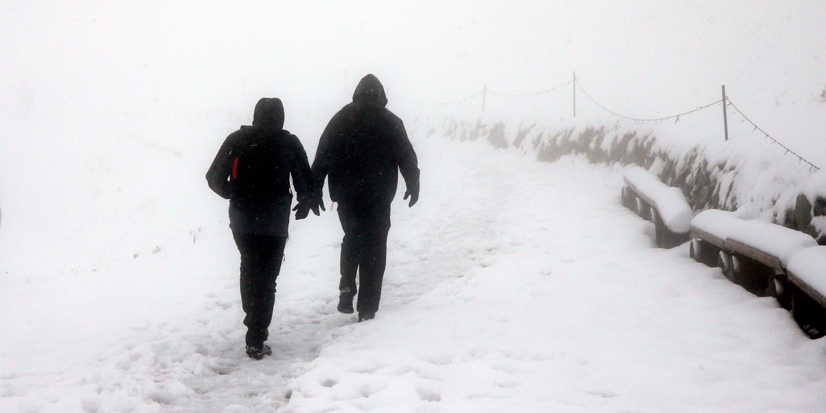 Zziębnięty klęczał na polu, 20 km od domu...