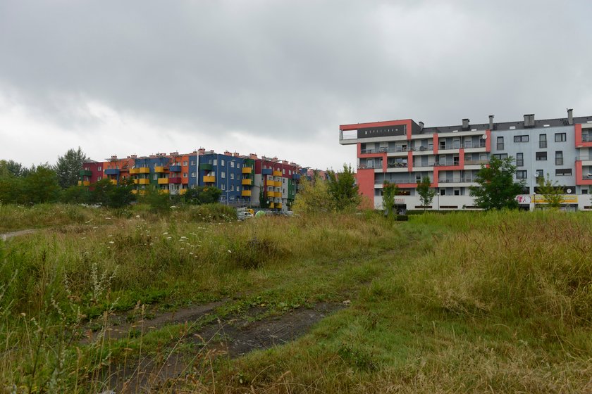 Jedno z osiedli na wrocławskim Gaju