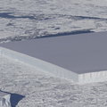 NASA opublikowała zdjęcie niesamowitej góry lodowej. Wygląda, jakby ktoś ją wyciął
