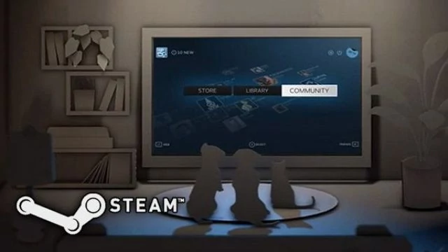 Szkoda, że "szerszą perspektywą" Steam chwali się wyłącznie na telewizorach, nie w podejściu do graczy