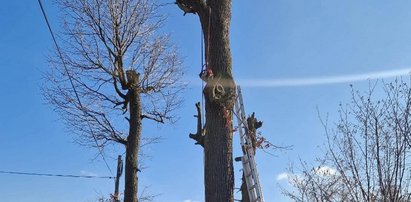 Chciał pomóc zakonnicom. Zmarł straszną śmiercią