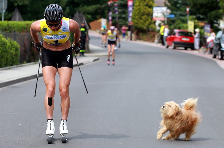 Justyna Kowalczyk wygrywa zimą i latem