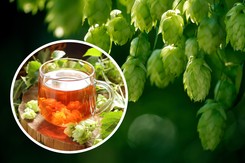 Zamiast melisy. Wypij przed snem, a zaśniesz bez problemu