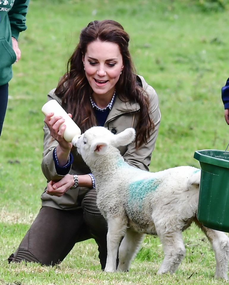 Księżna Kate Middleton karmi zwierzęta podczas wizyty na farmie dla dzieci