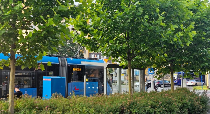 Coraz więcej przystanków we Wrocławiu prezentuje się właśnie tak. 