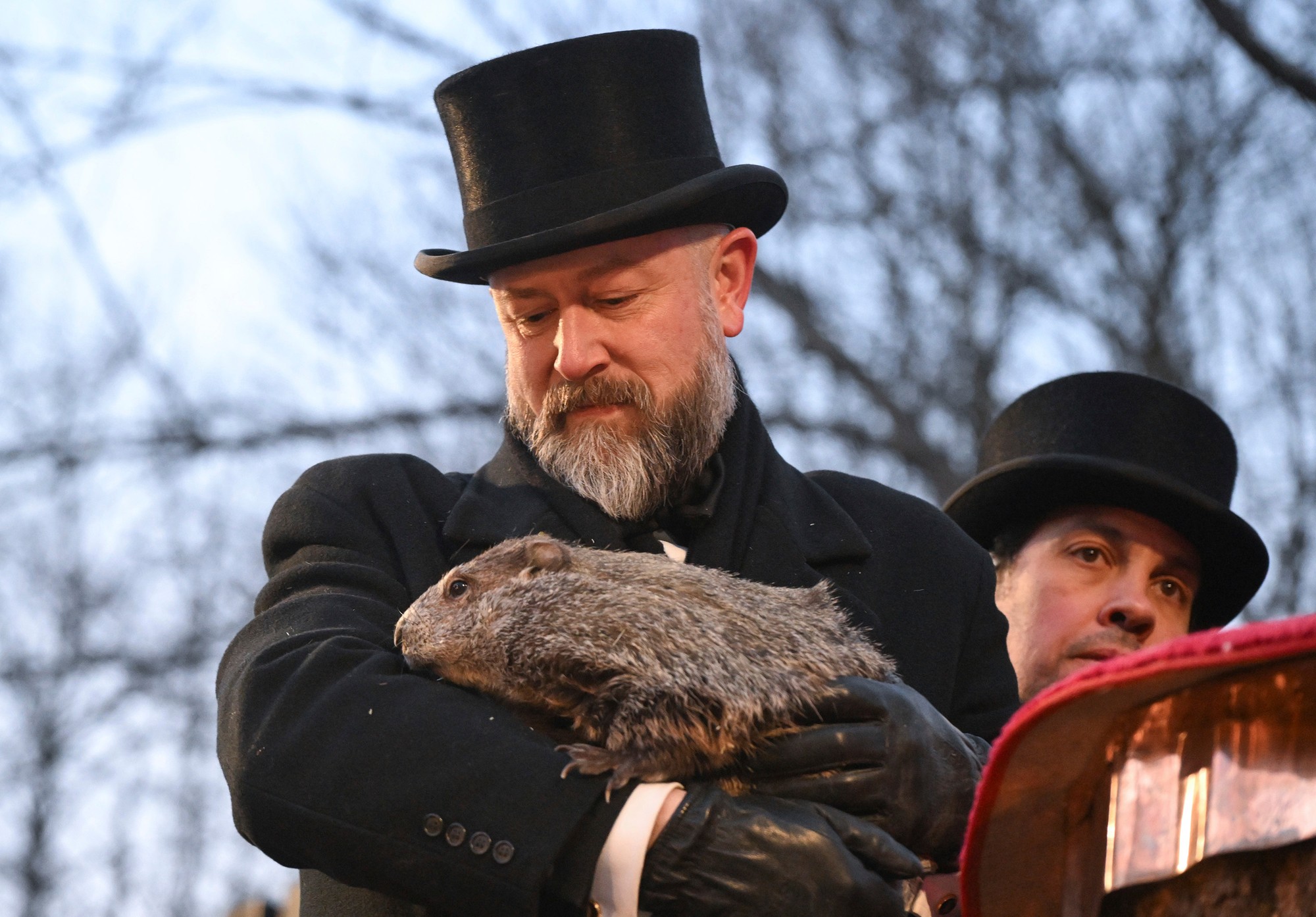 Groundhog Day (Deň svišťa) je v USA veľmi populárny.