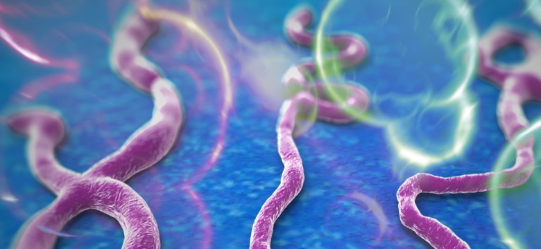Ebola wraca? Pierwsza ofiara w Liberii