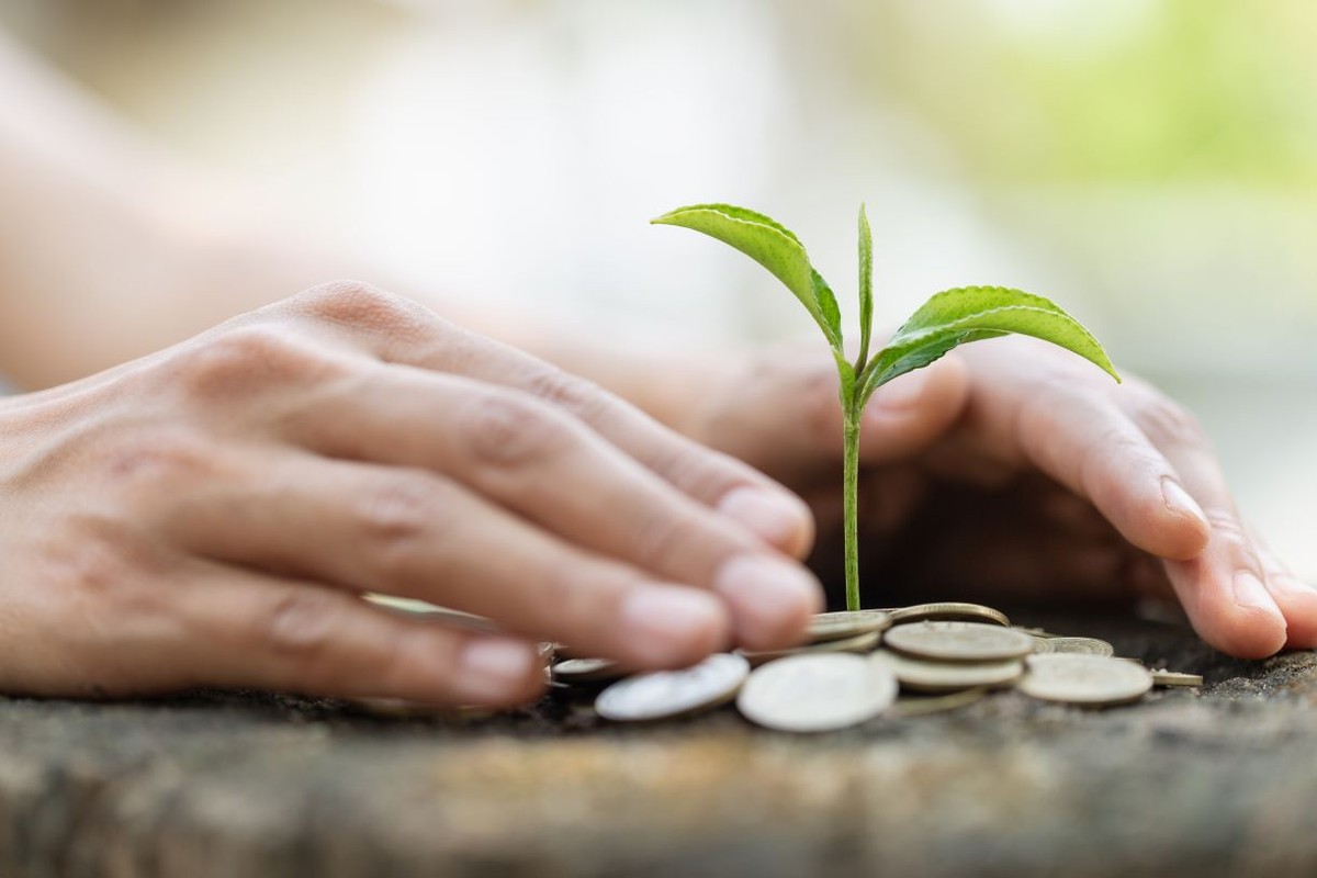 Ekonomistka pokazuje, że w większości przypadków wymyślone w krajach bogatych polityki klimatyczne przynoszą krajom biednym – niestety – więcej szkód niż pożytku.