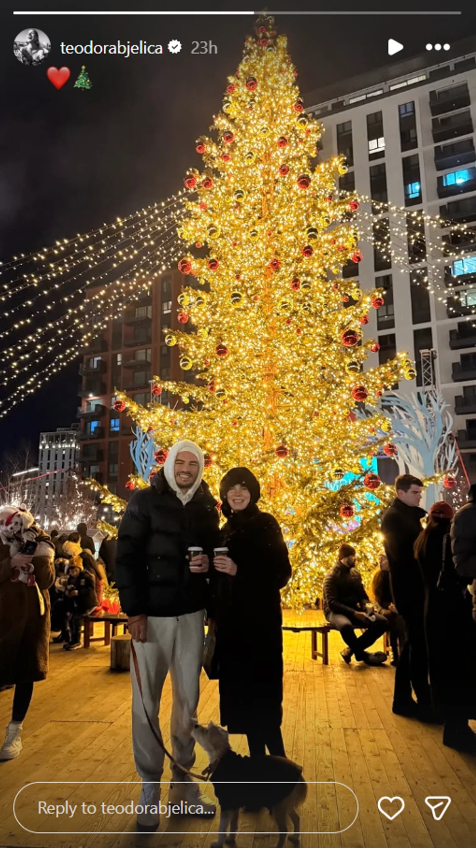 Teodora Bjelica, objava