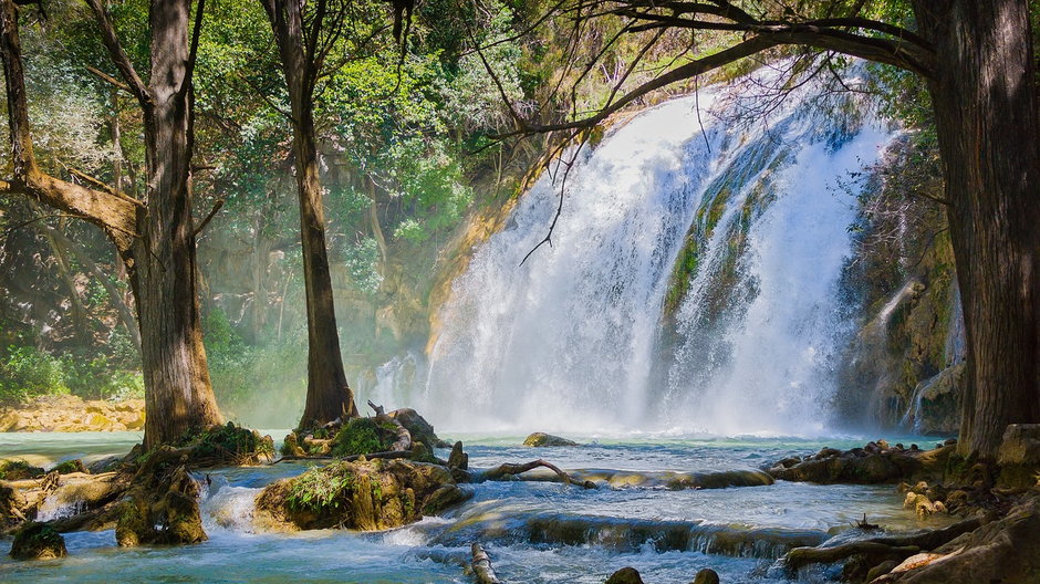 Chiapas, Meksyk / fot. Pixabay, Carlos Alcazar