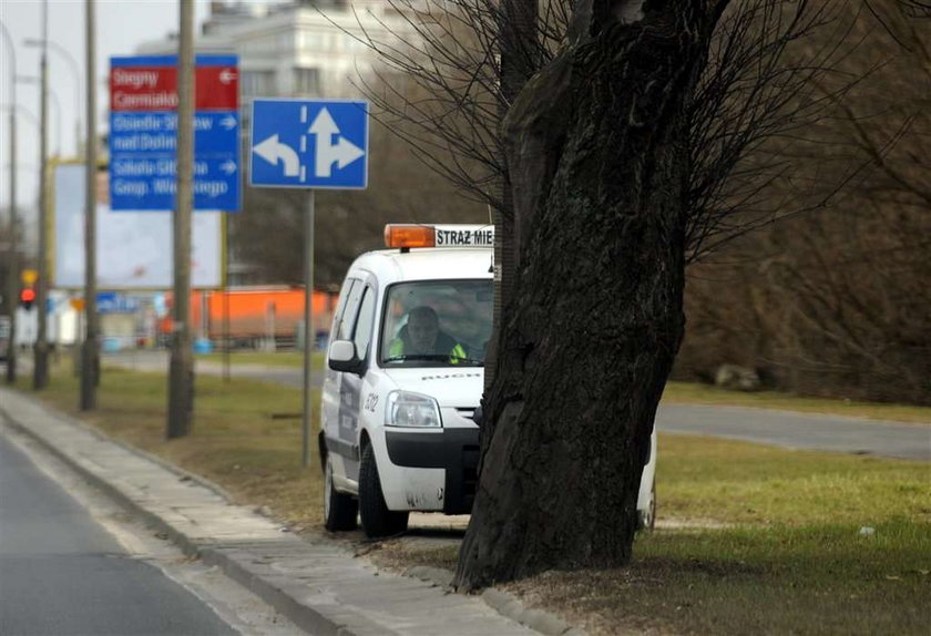 Zobacz, ile ściągnie z ciebie straż miejska