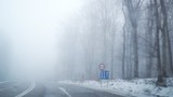 Pilne alerty IMGW dla wielu województw. Gęste mgły i nagły powrót mrozu odetną widoczność na drogach. Uwaga na drastyczne różnice temperatur