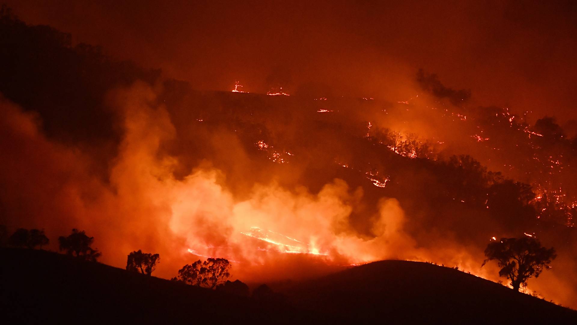 Az ausztráliai bozóttüzek voltak a legnagyobb hatással a klímaváltozásra 2020-ban 