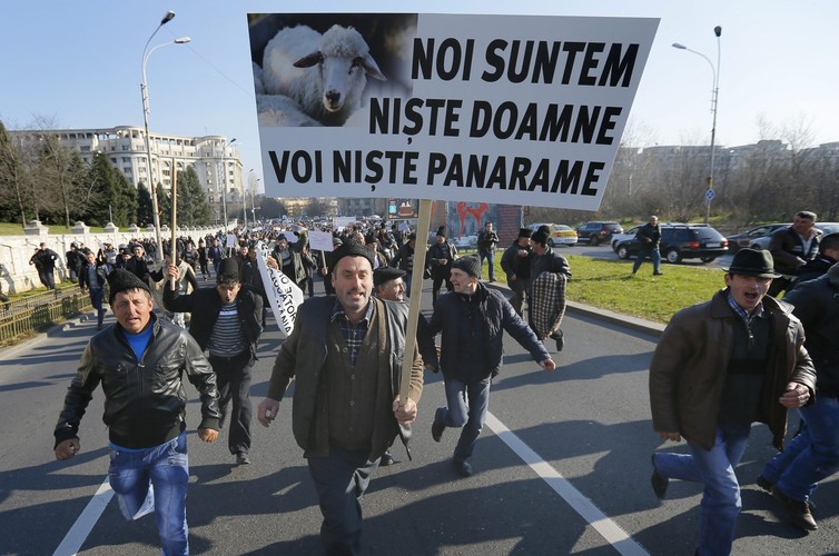 Rumuńscy pasterze protestują