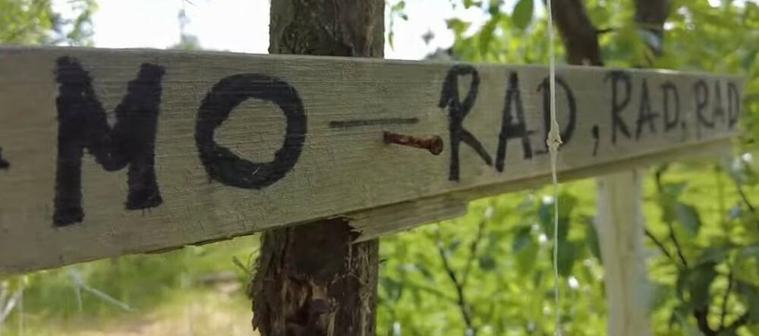 Osman i Fahrudin imaju prinos od 4-5 tona jagoda za par meseci