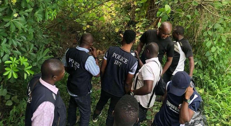 Police rescue kidnapped victims, recover stolen cows in Zamfara. (PM Express)