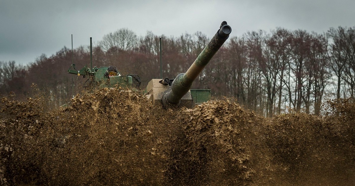 K2 z Braniewa, czyli koty w środowisku naturalnym. Czarne Pantery w polu