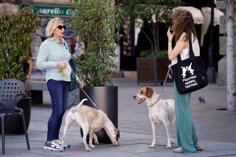 Ovaj dan se obeležava po 13. put u svetu, a u Srbiji drugi put