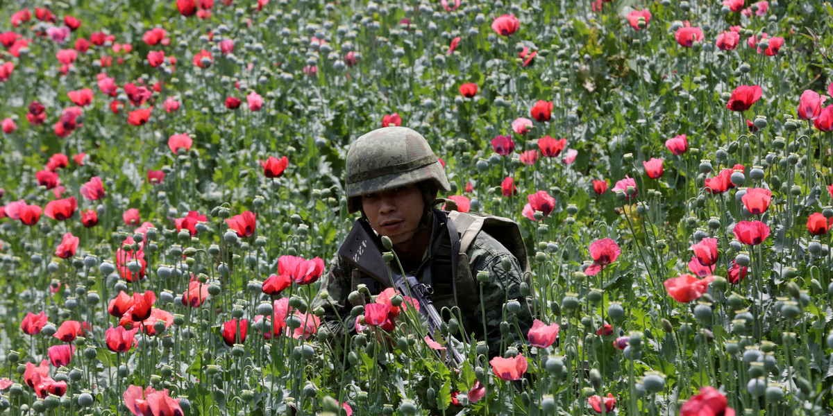 The US and Mexico may be teaming up to fight heroin, but the enemy is tougher than it appears 
