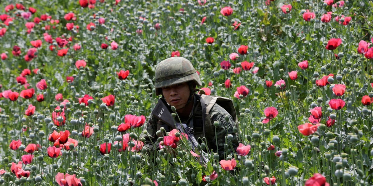 The US and Mexico may be teaming up to fight heroin, but the enemy is tougher than it appears 