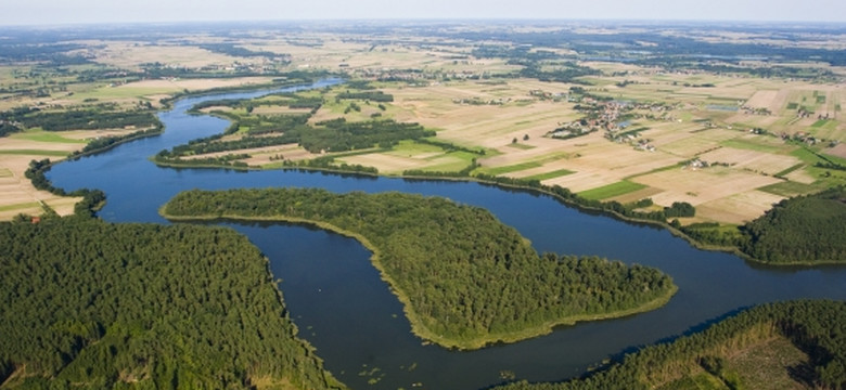 Tam, gdzie rosną konwalie