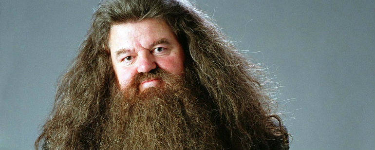 Robbie Coltrane jako Hagrid