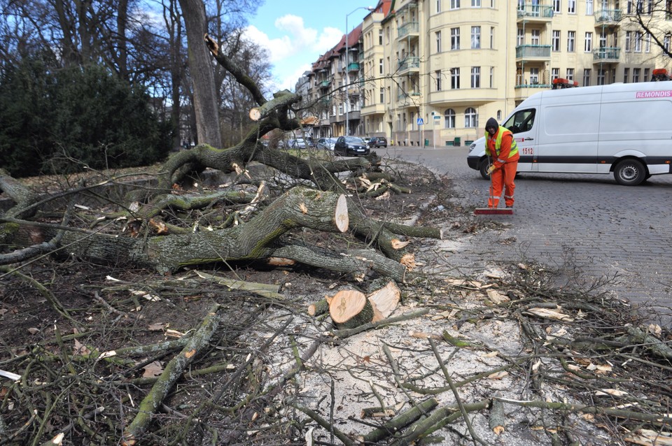 Usuwanie skutków wichury, która przeszła przez woj. zachodniopomorskie