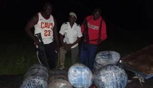 Près de 300 kg de chanvre saisis entre Mbour et Diouloulou